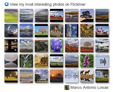 Marco Antonio Losas - View my most interesting photos on Flickriver