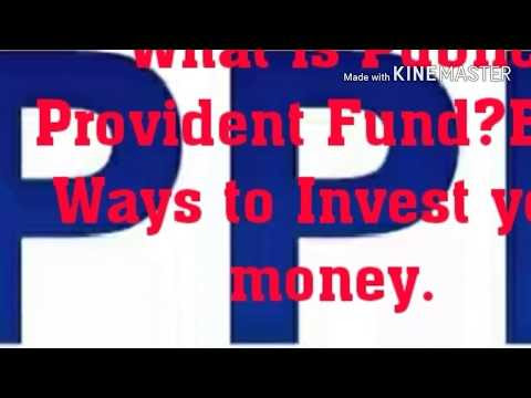 what is public provident fund ?