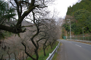Imgp7709