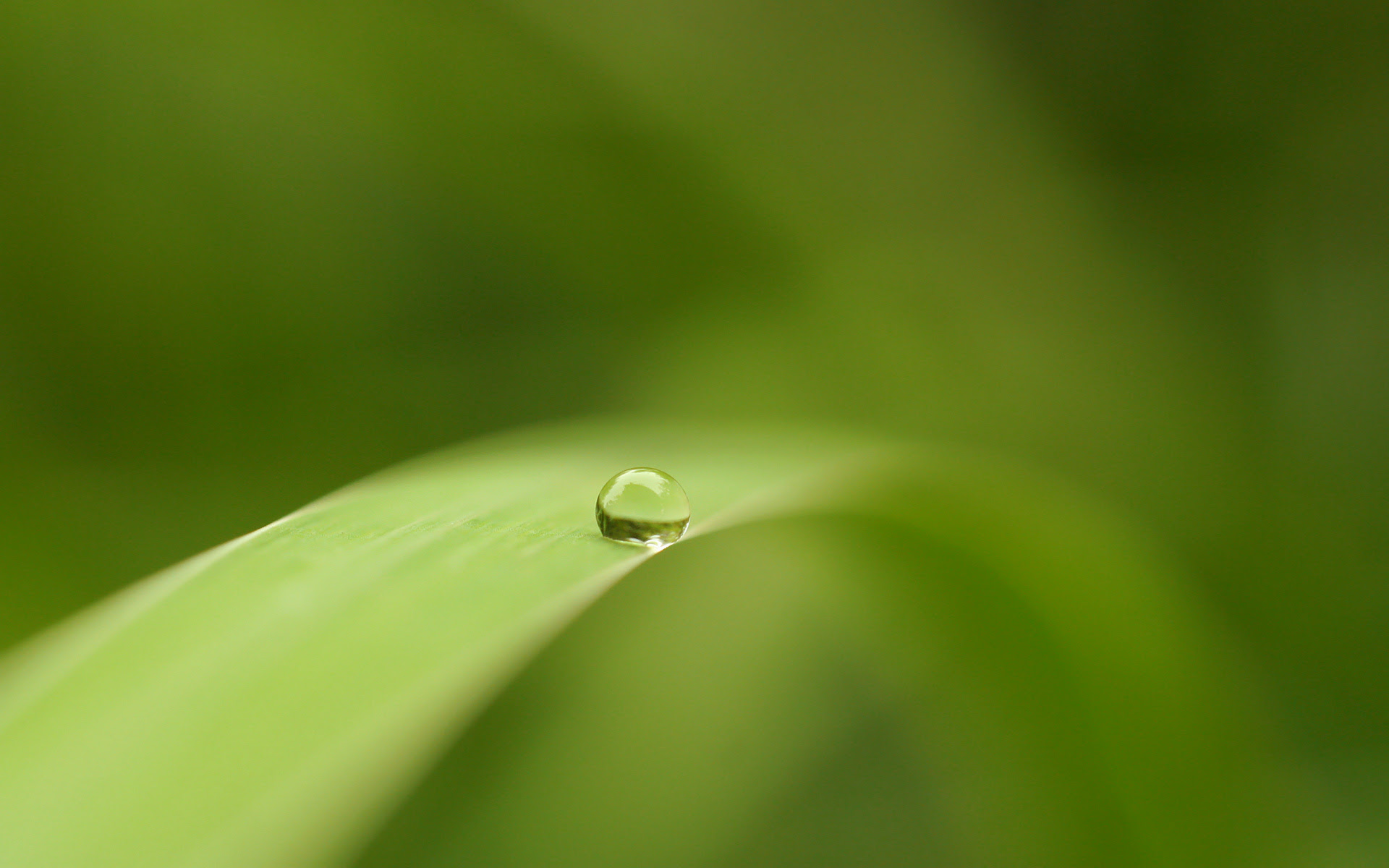    Droplet wallpaper   II by Katosu 34 Geniş ekran masaüstü resimler