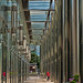 P1000049 copy