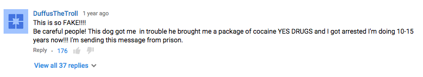 YouTube comment KLM video