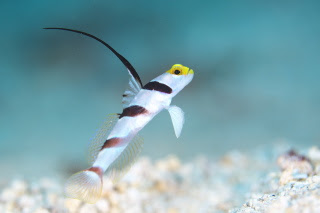 HDS_2654.jpg