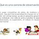 Carrera De Observacion Para Imprimir / Utn