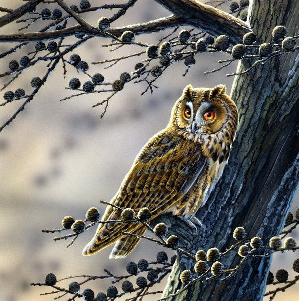 JAN WEENINK ART