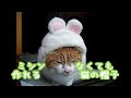 [最も選択された] 猫 ドラえもん かぶりもの 311111-猫 ドラえもん かぶりもの
