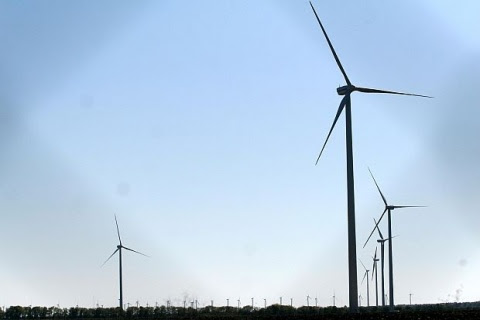 Bulgaria: Environment Minister Stops 2 Wind Farm Projects in NE Bulgaria