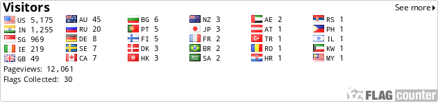 Flag Counter