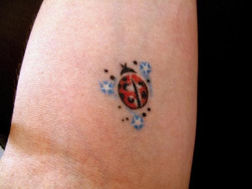 This is my Lady Bug! I got this one in Venezuela 3 years ago. Permalink