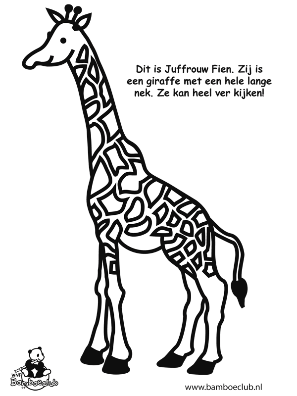 Juf