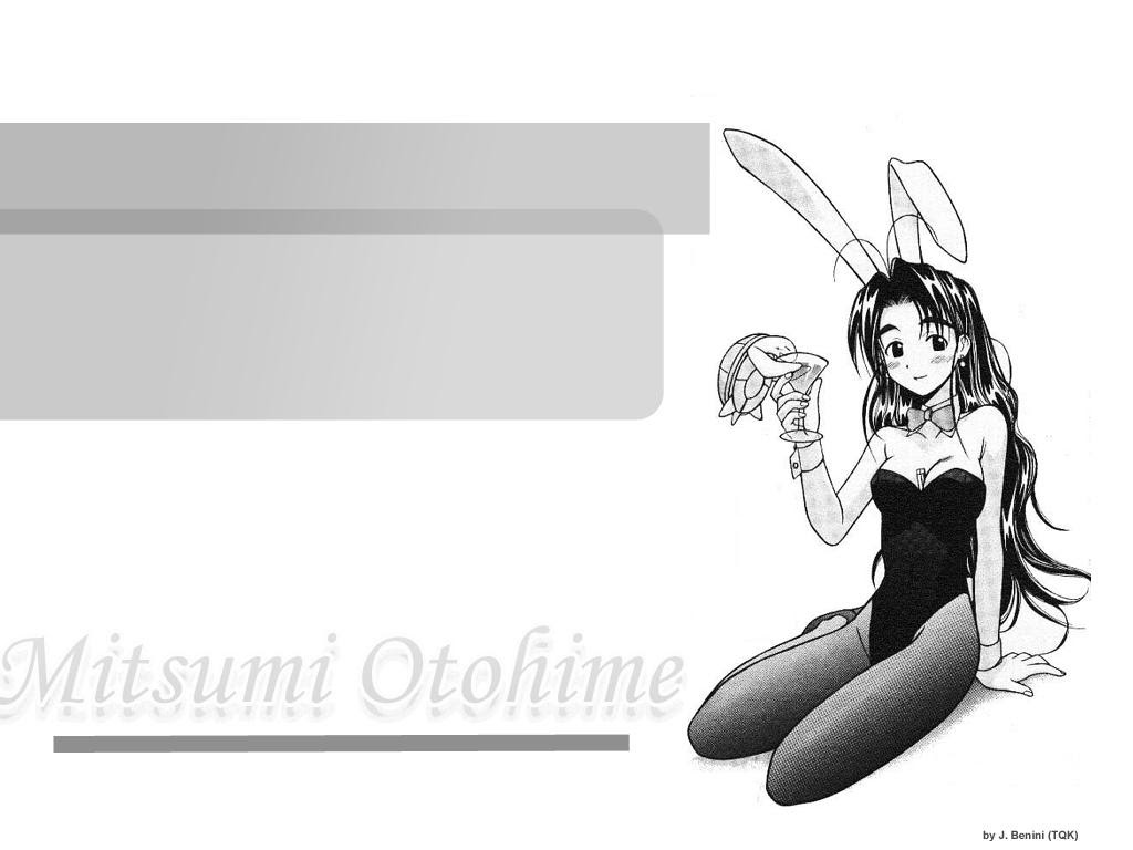 孔明妻の壁紙紹介 ラブひな 乙姫むつみ