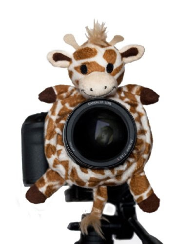 review Shutter Huggers GIR001