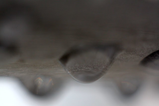 raindrops, nw 10th & johnson