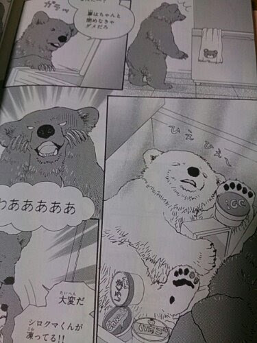 しろくまカフェ くるみ味 北村ノアの占いサロン