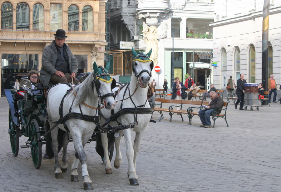 German Courses in Vienna, Austria - Lingua Service Worldwide