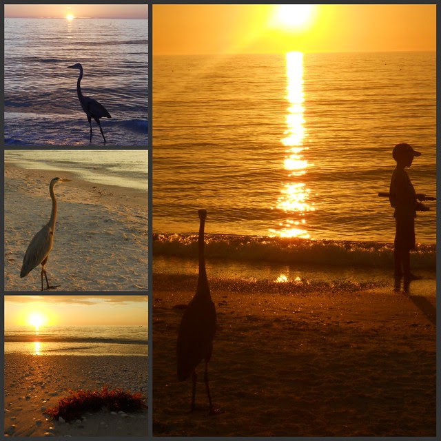 Sunset Collage
