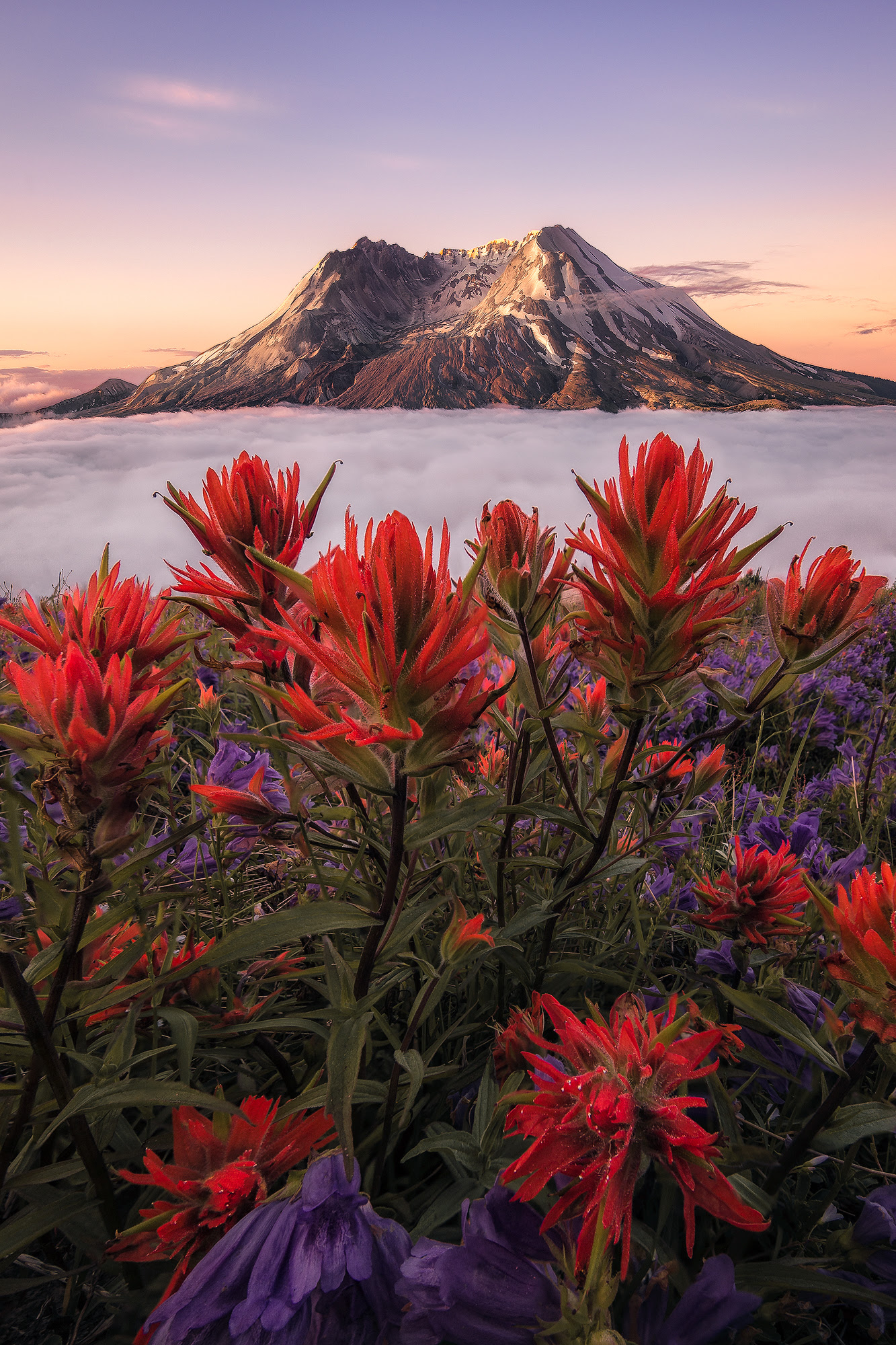 st helens cloud inversion and flowers
