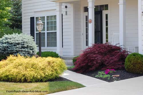 varied landscape colors create intrigue on this walkway
