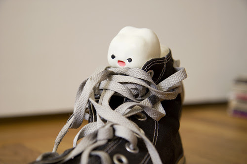 Shoelace