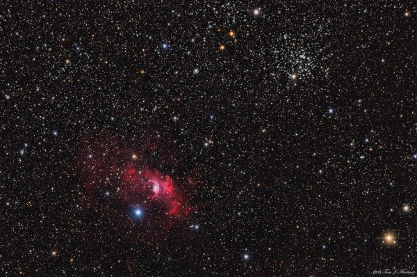Amazing Stars posted 