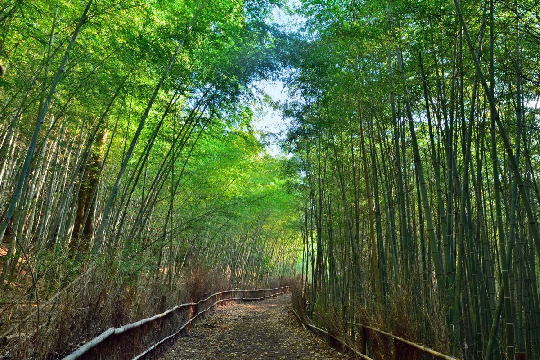 あおみ労務事務所 随想