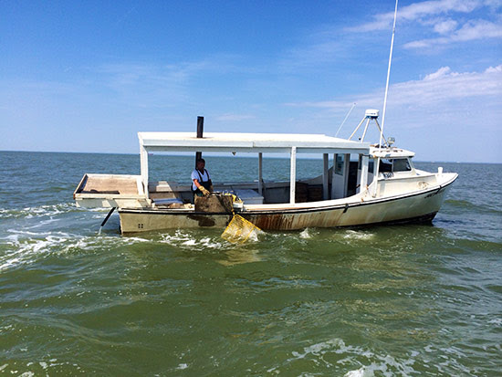 Chesapeake Bay Program