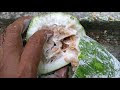 Ciri-ciri, Khasiat, dan Manfaat Buah Bligo / Beligo / Baligo / Kundur atau Blonceng (Benincasa hispida)