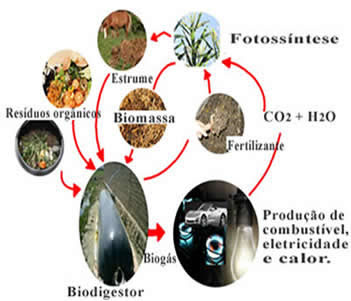 Esquema de produção de biogás: matérias-primas e utlização