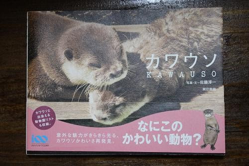 カワウソ読本 あにまるカメラ