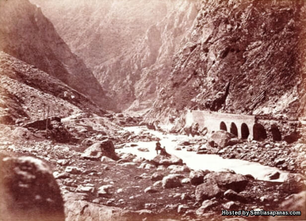 Darius Gorge