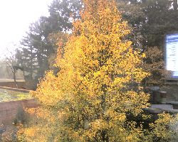 Discount Designer Jeans Edmonton