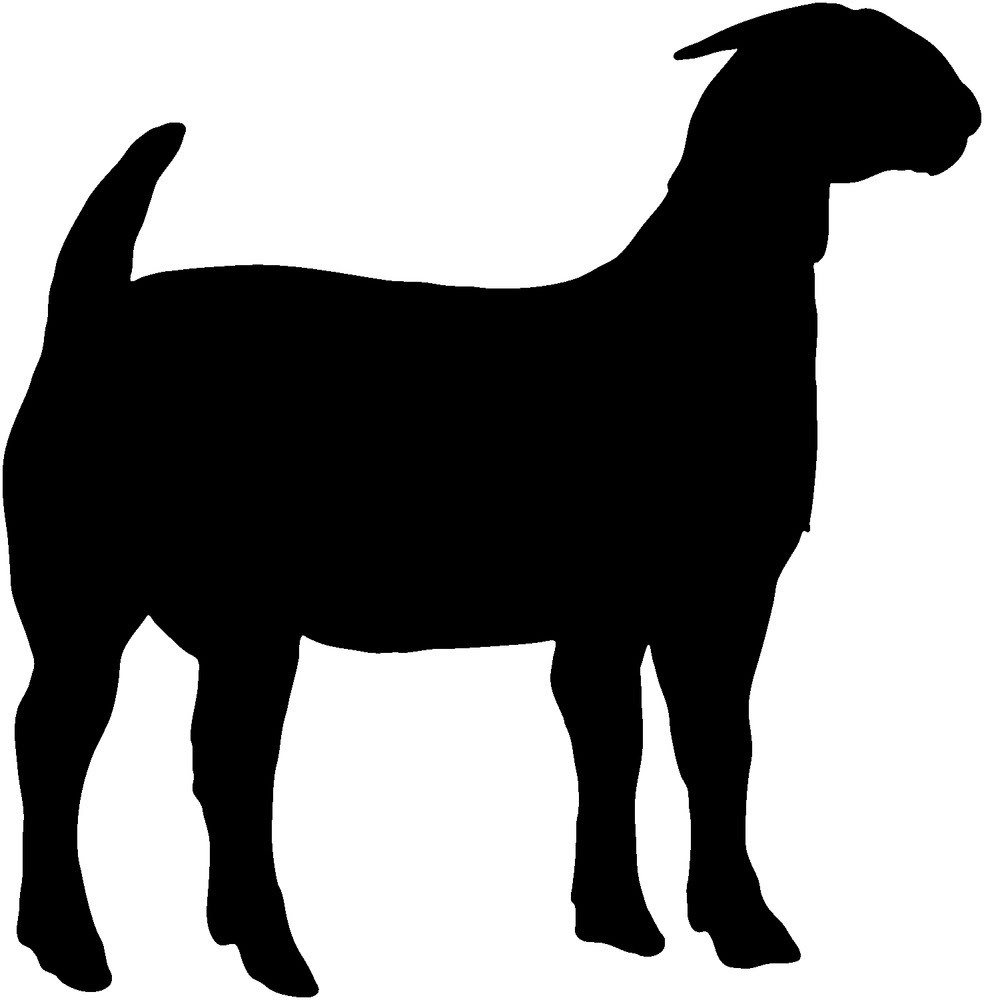 Download Boer Goat Silhouette | Free download on ClipArtMag