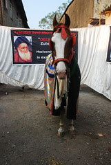 Does Moharam End on Athvi...Ya Imam Al Ajal by firoze shakir photographerno1