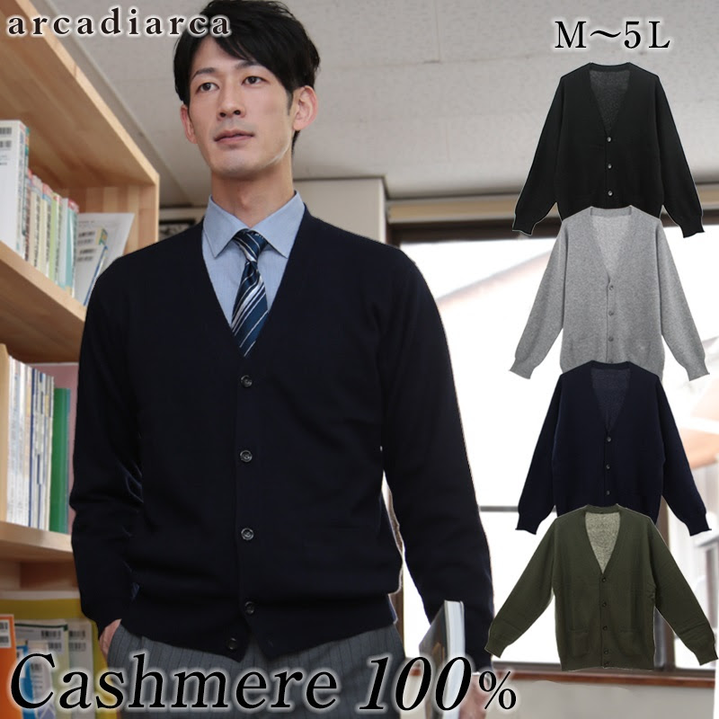 カシミヤ100 Vネック カーディガン メンズ M 5l カシミヤ カシミア セーター 男 ニット Vネック V首 カシミヤ100 カシミア100 無地 防寒 大きいサイズ ギフト プレゼント Arcadiarca 送料無料 在庫限り カーディガン すててこねっと