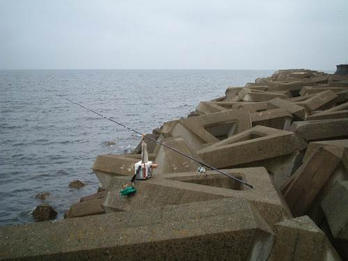 海釣進階篇 堤防釣 這是我的魚類專題郵票生態魚類漁業垂釣部落格 隨意窩xuite日誌
