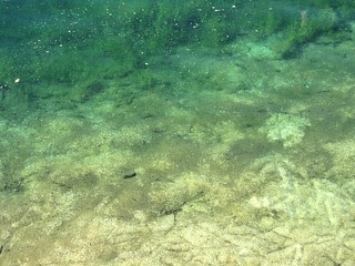 Exploring by Piddlestixs! 11