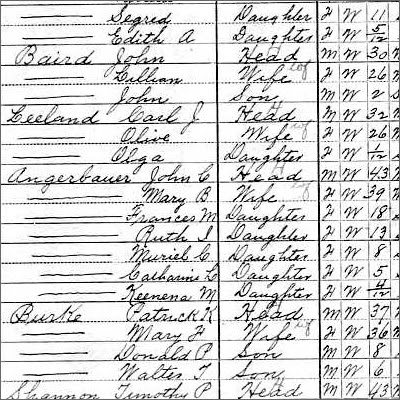1910 Census