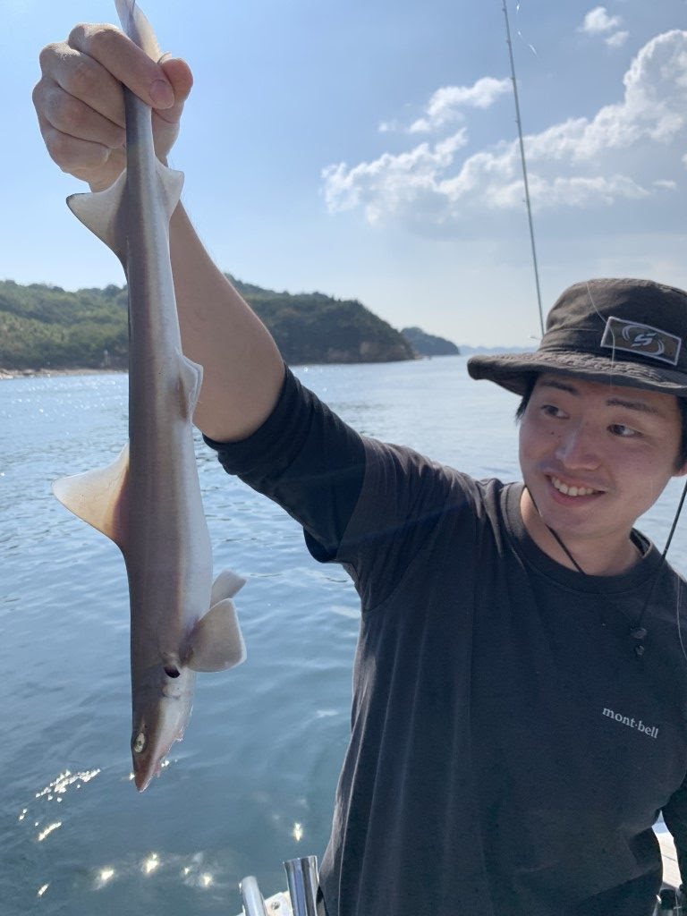 シロザメ 釣り具レジャー用品専門店 アングラーズ Anglers