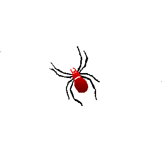 Animated Gifs