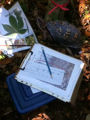 NCCAT 2011 - Citizen Science