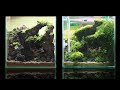 [最新] 25cm 水槽 レイアウト 204900-水槽 25cm キューブ レイアウト
