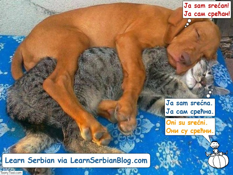 Serbian Adjectives 2