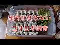 √70以上 生き餌 コオロギ 臭い 111227-生き餌 コオロギ 臭い