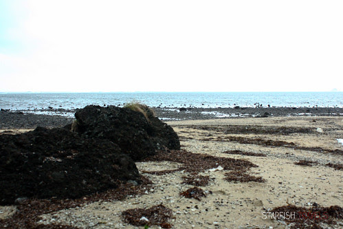 palaui-165