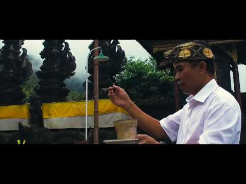 Video Manggis Bali