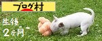 にほんブログ村 犬ブログへ