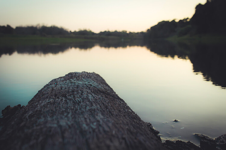 5 Guidelines of Minimalist Photography to Help Improve Your Work