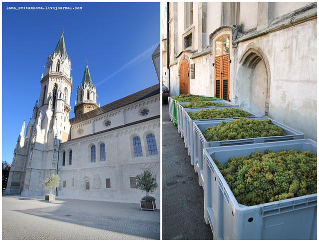 Klosterneuburg_3