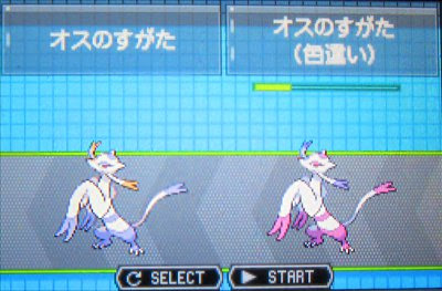 テトのひだまり日記 色違いコジョンド