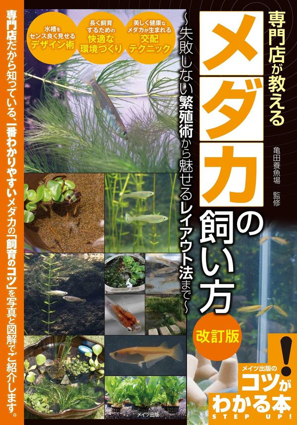 専門店が教える メダカの飼い方 改訂版 失敗しない繁殖術から魅せるレイアウト法まで 亀田養魚場 監修 メイツ出版 版元ドットコム